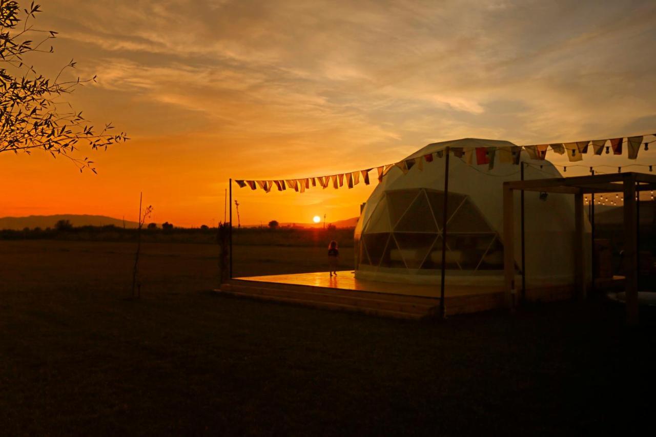 Jewelberry Glamping Hotel Tbilisi Mtskheta Ngoại thất bức ảnh