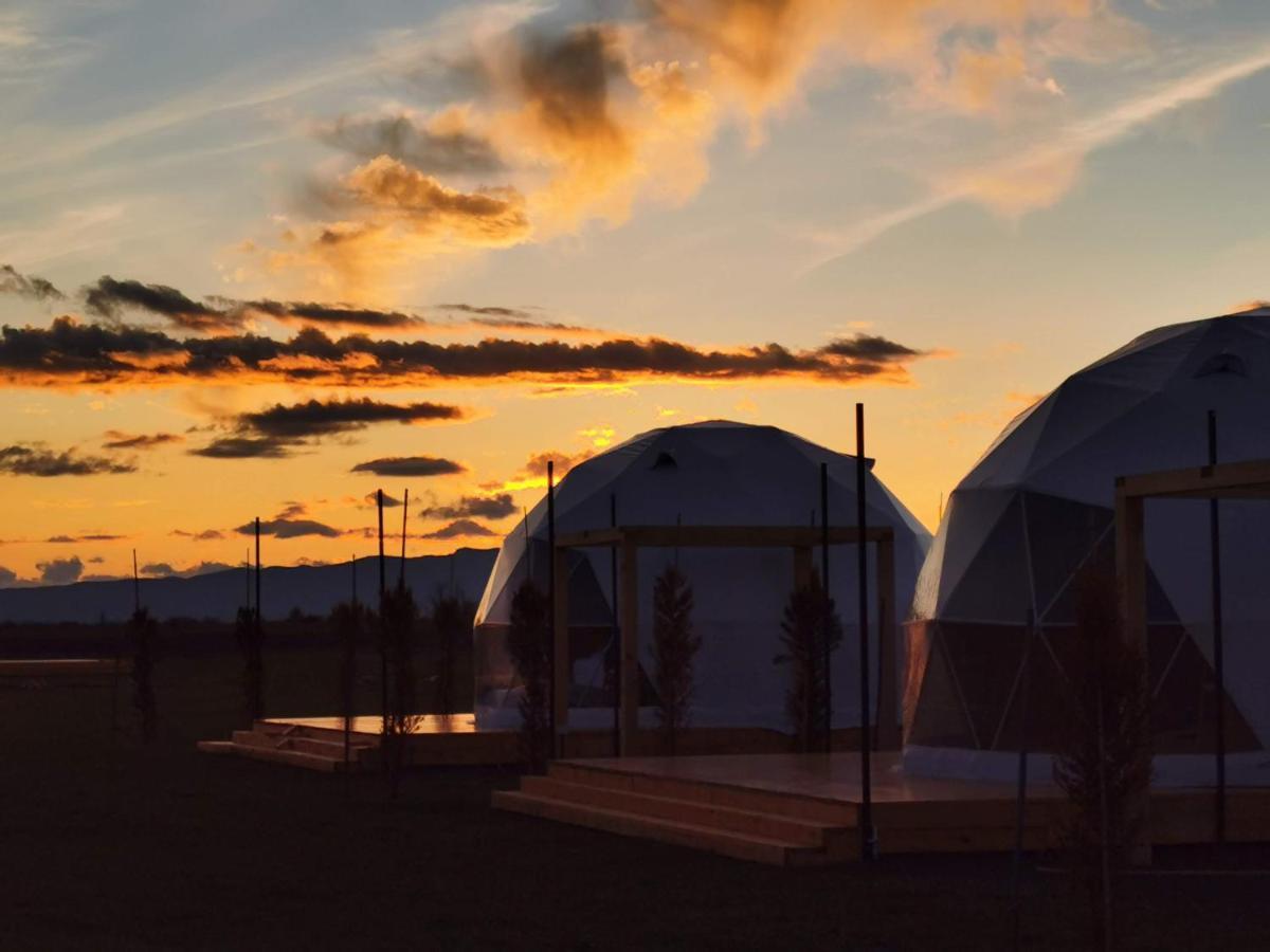 Jewelberry Glamping Hotel Tbilisi Mtskheta Ngoại thất bức ảnh