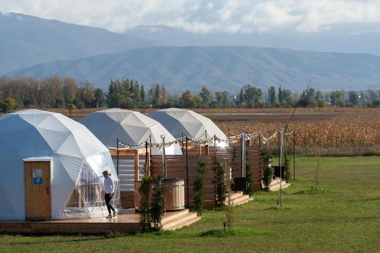 Jewelberry Glamping Hotel Tbilisi Mtskheta Ngoại thất bức ảnh