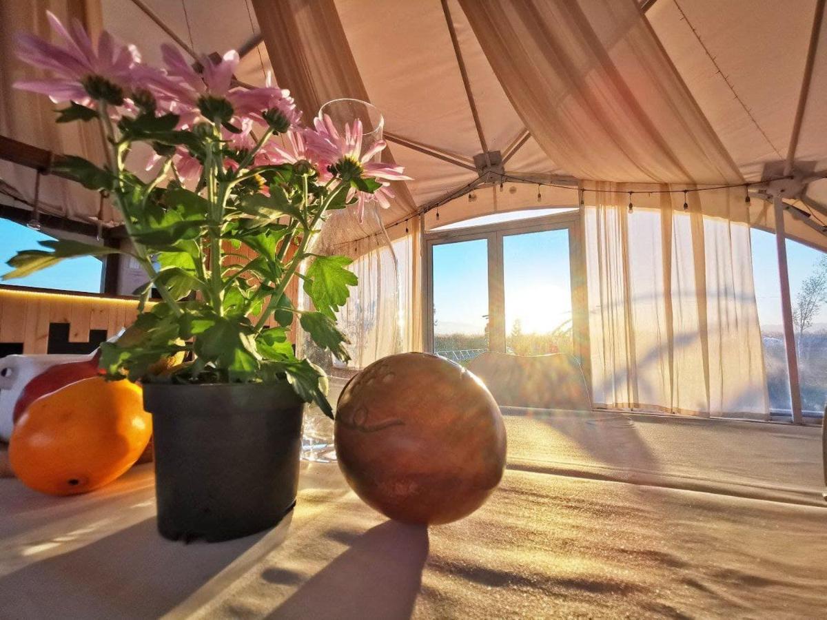 Jewelberry Glamping Hotel Tbilisi Mtskheta Ngoại thất bức ảnh